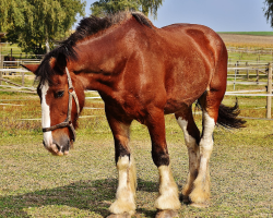 埔心農場環境照片