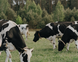 埔心農場環境照片